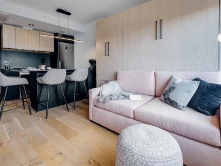 Loft entièrement meublé à louer Saint-Jean-Baptiste juillet 2026