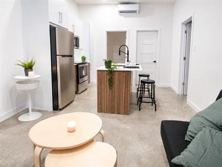 Grand 3 1/2 Style Loft Tout Inclus