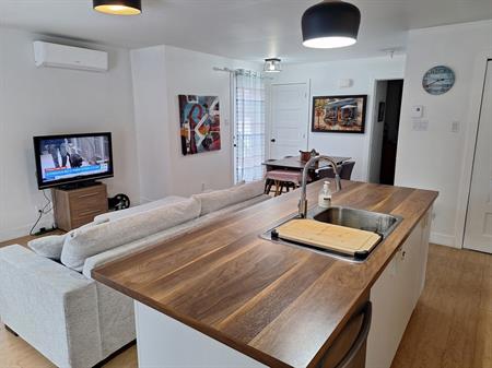 31/2 Luxueux Au Centre-ville