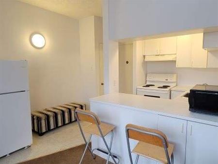 OPPORTUNITÉ RARE | CONDO RÉNOVÉ CENTRE-VILLE – EMPLACEMENT AAA