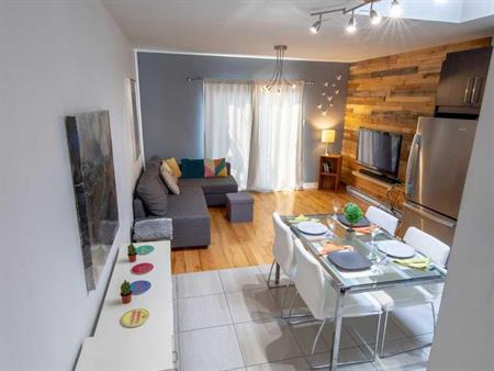 Condo 3 1/2 lumineux avec deux terrasses privées dans Ville-Marie