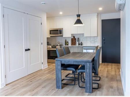 4 1/2 - Montréal (Centre-Sud) - 2 500 $/mois
