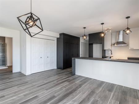 Magnifique 4 1/2 Disponible