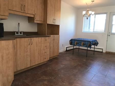 3 Chambres Pres Blv Duplessis