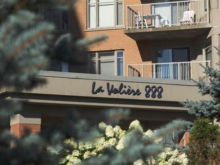 4 1/2 - Ste-Foy - immeuble de prestige - juillet ou septembre