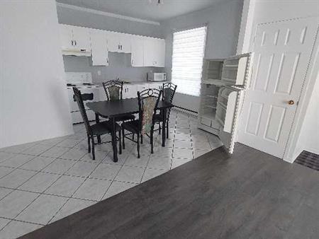 Loyer 3 1/2 Shawinigan (secteur Grand-Mère)
