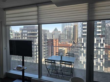 Beau 3 ½ En Plein Downtown
