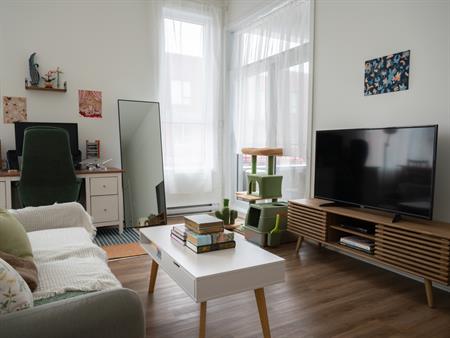 Maginifque Condo Lumineux