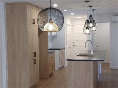 Grand 5 ½ haut de gamme à louer – Construction récente – Disponible maintenant