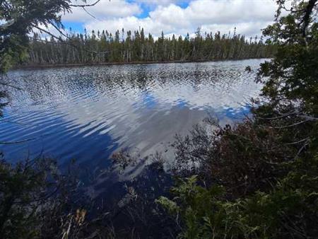 Magnifique terre a bois, bornant un lac