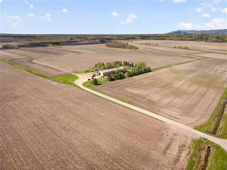 Terrain