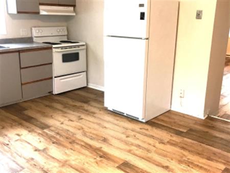 Appartement 1 Chambre (Vieux-Hull)