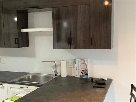 Location 2 condos a trois-rivieres, bord du fleuve. Pres sanctuaire du cap