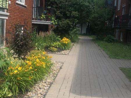 Ahuntsic 3 1/2 à louer