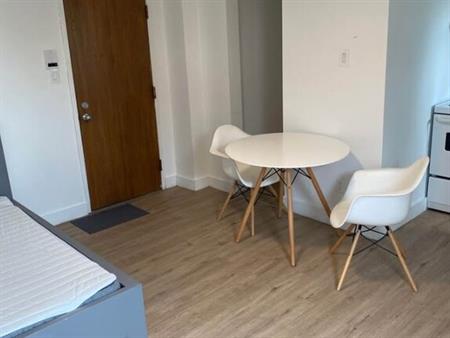 Studio - 1 1/2 à Louer Mont-Bellevue