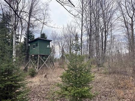 St-Sébastien, Estrie. Belle terre à bois de 134 acres avec chemin forestier, boisé mixte et ruisseau. Accessible l’hiver, Hyd
