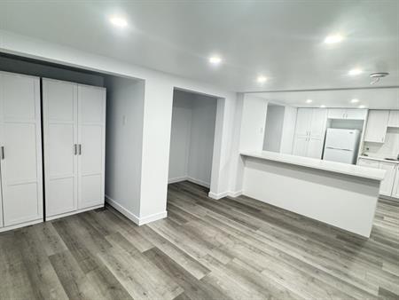 Trés Beau 4 1/2 Rénové Au Demi Sous-sol