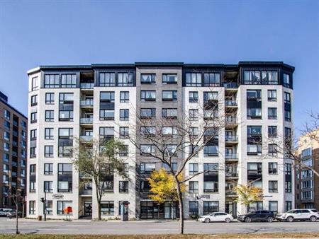 Appartement Ville-Marie (Centre-Ville, Vieux-Montréal) À Louer
