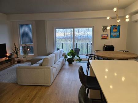 Magnifique appartement 4 1/2+ situé à Lévis