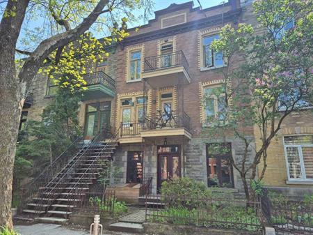Lumineux logement au coeur du Plateau