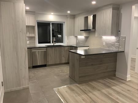 Apartment 4 1/2 à Louer