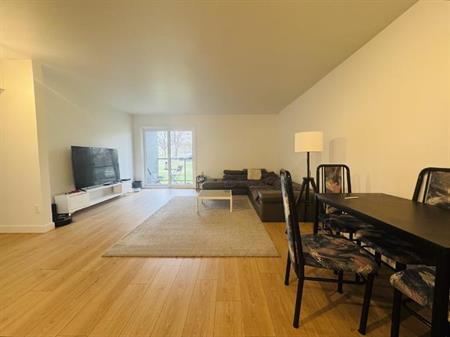 Appartement 4 ½ à louer Sainte-Foy / Sillery juillet 2026