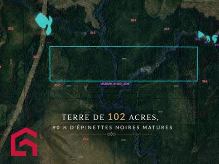 Terrain