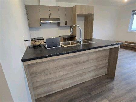 Appartement Style Condo 4 1/2