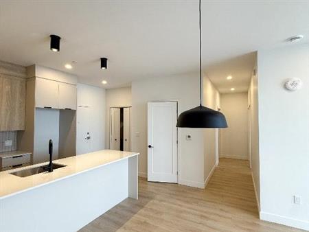 Magnifique et moderne 4 1/2 | Centre-ville de Lévis