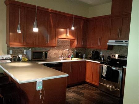 logement haut de gamme, garage, ascenseur, électros inclus, a/c, 1er juillet, 1700$