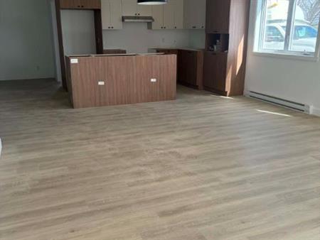 Spacieux 4 1/2 avec bureau - Disponible pour le 1er juillet à St-Séverin en Beauce