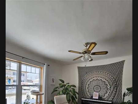 Logement A Louer 4 Et Demi +sous-sol