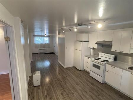 4 1/2, MEUBLÉ (Colocation Possible)