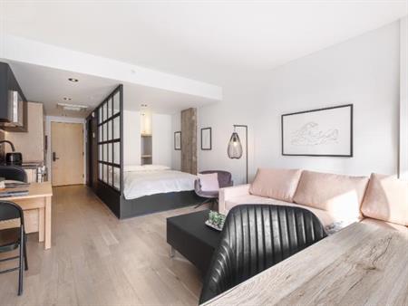 Loft entièrement meublé à louer Saint-Jean-Baptiste août 2026