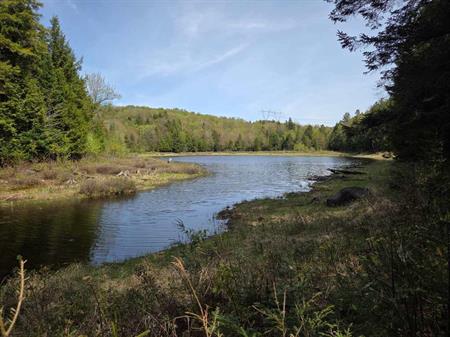 Terre à bois avec lac