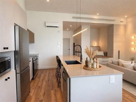 Loft style condo de luxe 3 1/2