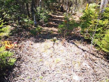 Terrain à vendre à Alma 75 000$