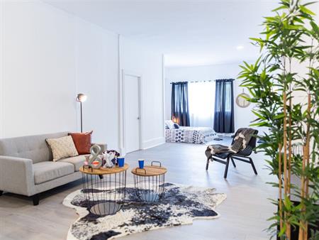 Loft à Louer Montcalm