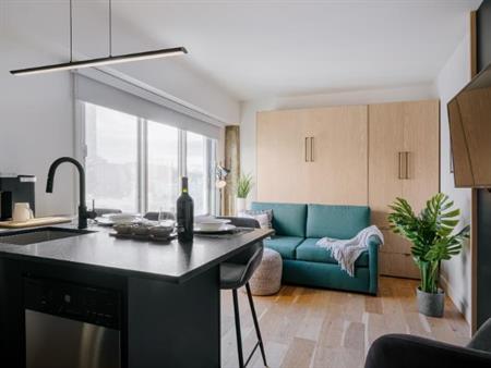 Loft entièrement meublé à louer Saint-Jean-Baptiste juillet 2026