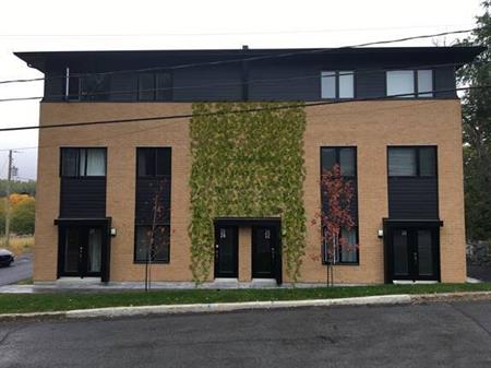 CONDO 4 1-2 NIVEAU TERRASSE + CABANON