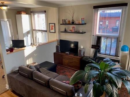 Renovated 3 1/2 for rent in Plateau - 2 units avail.