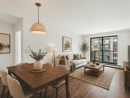 Classic 2 Bedrooms - 1111 Rue Mistral, Montréal
