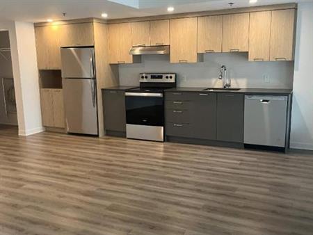 1 CH - 1 SDB - Terrebonne - $1,675 /mo