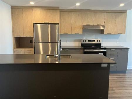 1 CH - 1 SDB - Terrebonne - $1,775 /mo