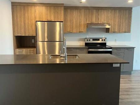 1 CH - 1 SDB - Terrebonne - $1,775 /mo