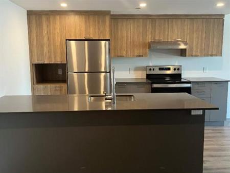 1 CH - 1 SDB - Terrebonne - $1,775 /mo