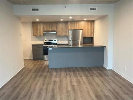 1 CH - 1 SDB - Terrebonne - $1,725 /mo