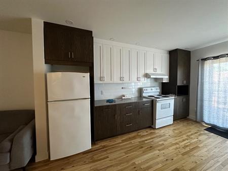 Appartement 3 1/2 à louer Quartier Rosemont