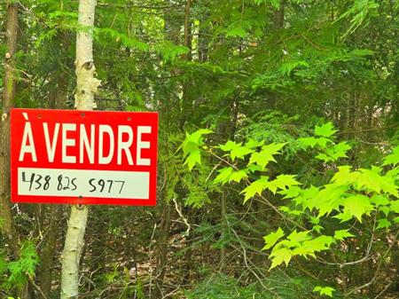 Terrain a. Vendre a 10 minutes de Rawdon e st julienne