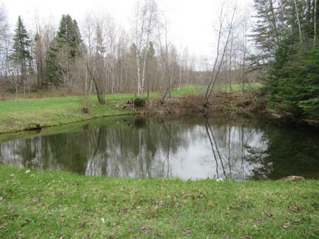 À 15 minutes de Victoriaville. Terrain 11135.8 metres carré/Constructible. Photos et description